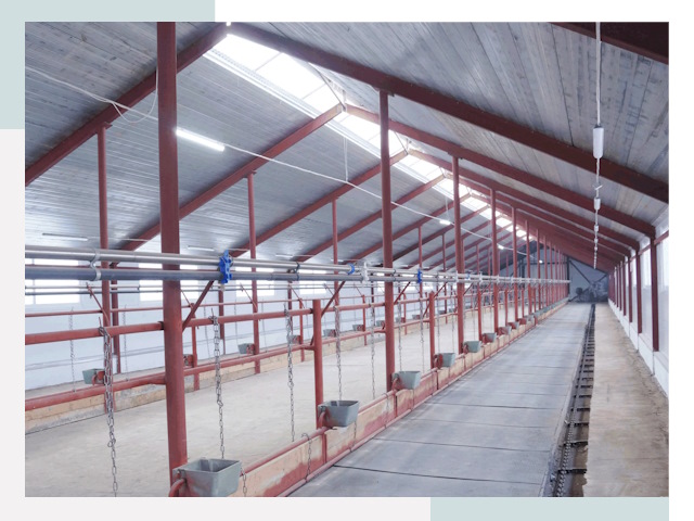 Строительство коровников в Кирове-Чепецке от 652 руб.