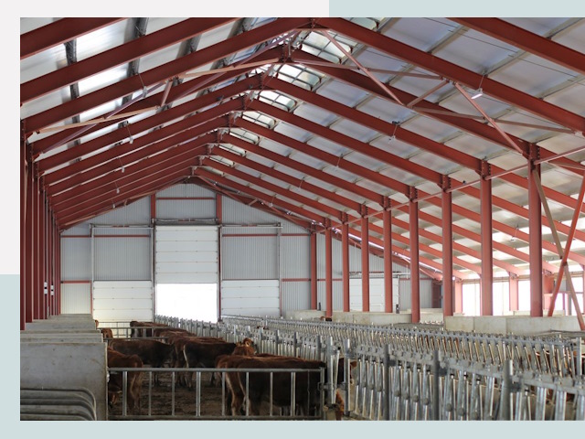 Строительство коровников в Кирове-Чепецке