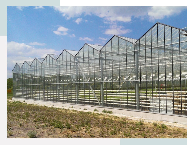 Строительство теплиц в Кирово-Чепецк от 652 руб. за м²