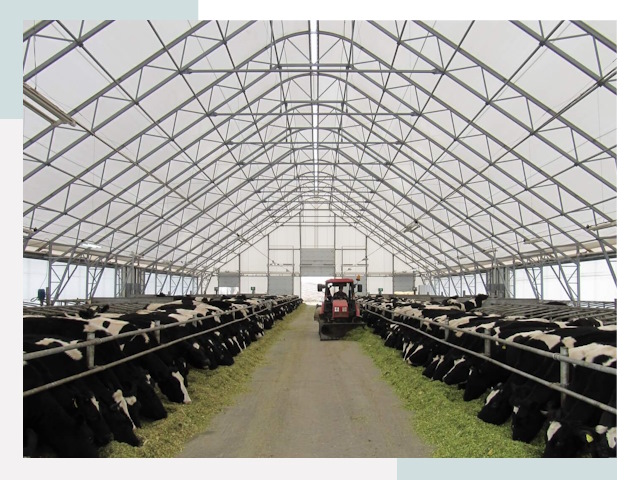 Тентовые коровники в Кирове-Чепецке от 652 руб. - Надежно и доступно